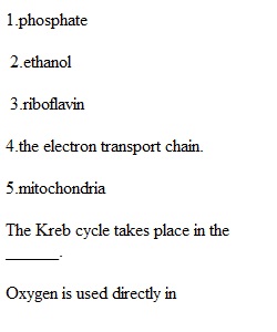 Weekly Exam 4 on Chapters 7 and 8